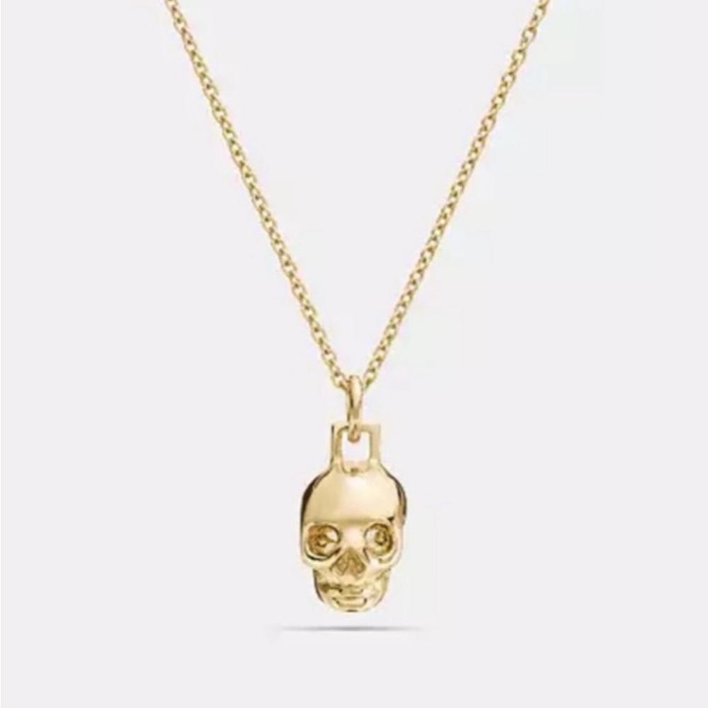 Coach Mini Demi Fine Skull Necklace.